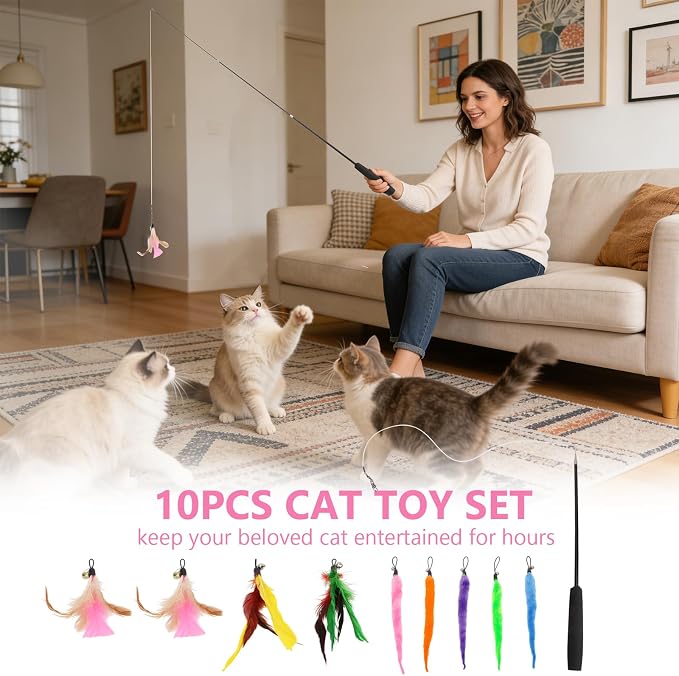Hypeety Cat Toys for Indoor Cats Interactive Retractable Fishing Pole Wand - Image 3