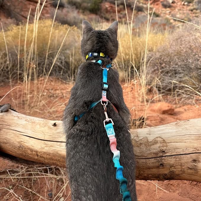 Travel Cat Harness and Bungee Leash Set - 2 in 1 Adjustable Escape Proof Cat - Image 5