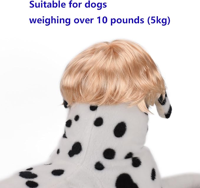 Funny Cosplay Wig for Dog, Headwear Apparel, Pet Costumes, Cat Dress up for - Image 6
