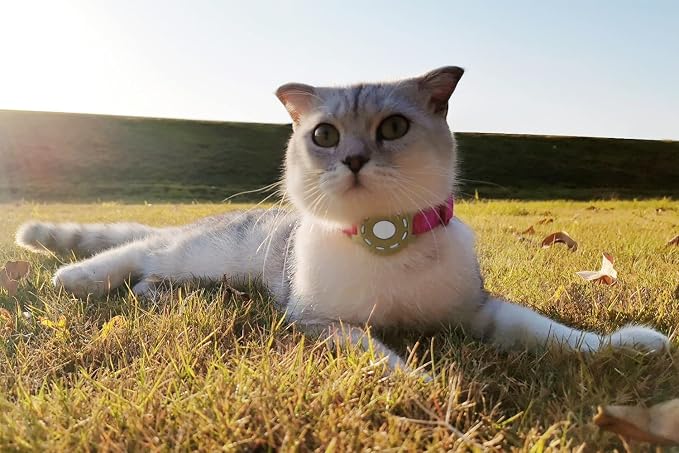 Airtag Holder for Cat, Air Tag Case for Cat Collar and Small Dog Collar - Image 8
