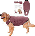 BellyGuard Dog Surgery Recovery Suit, Dog Onesie by BELLYGUARD