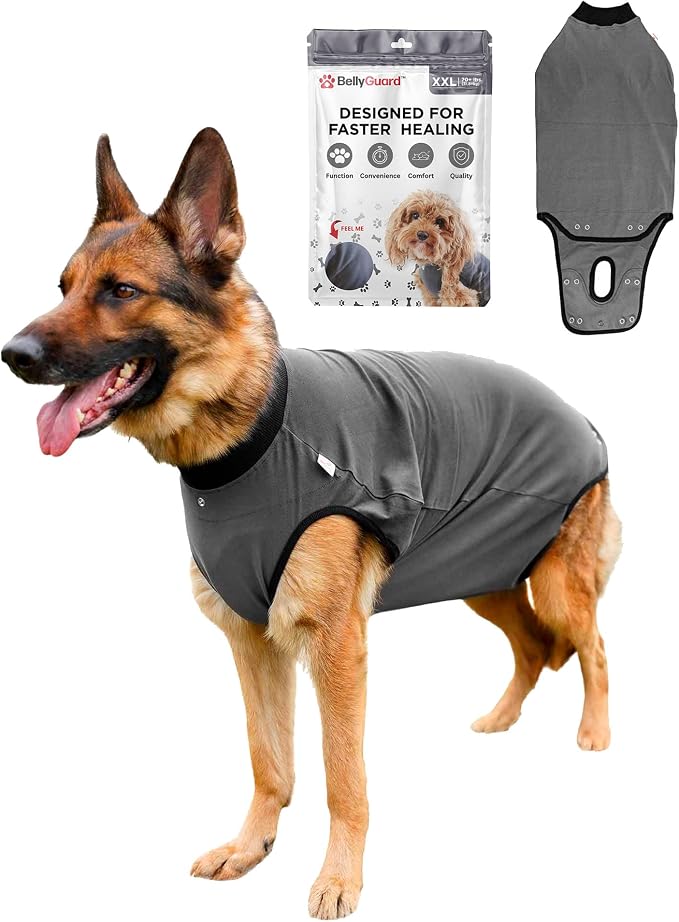 BellyGuard Dog Surgery Recovery Suit, Dog Onesie by BELLYGUARD