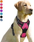 BARKBAY No Pull Dog Harness Front Clip Heavy Duty Reflective Easy Control Handle by BARKBAY