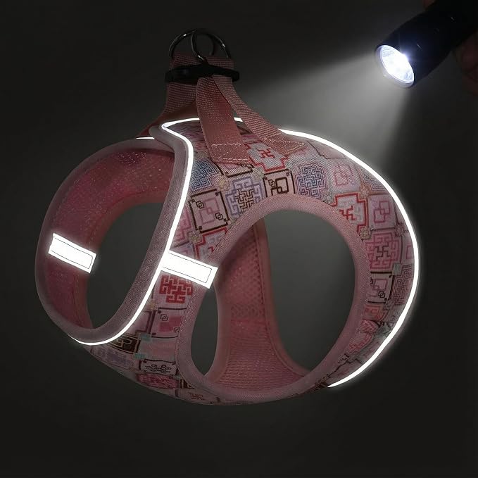 Step in Dog Harness and Leash Set, Reflective Adjustable No Pull Dog Harness - Image 4