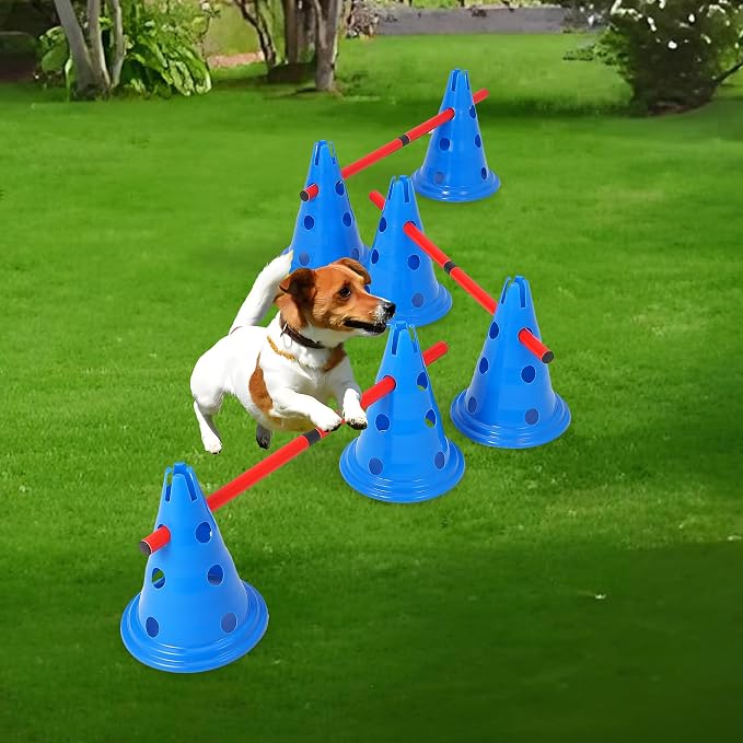 Portable Dog Agility Equipment - Image 7