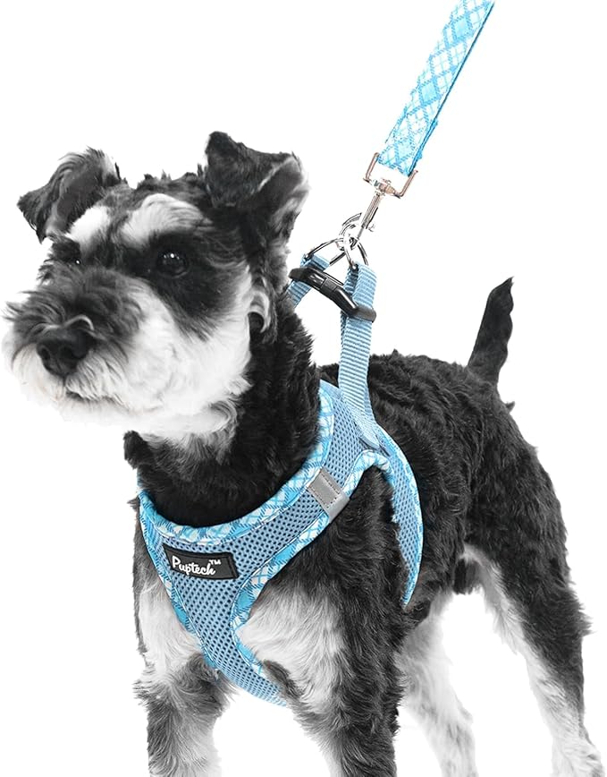 PUPTECK Dog Harness and Leash Set by PUPTECK