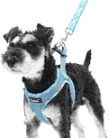 PUPTECK Dog Harness and Leash Set by PUPTECK