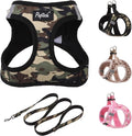 PUPTECK Dog Harness and Leash Set by PUPTECK