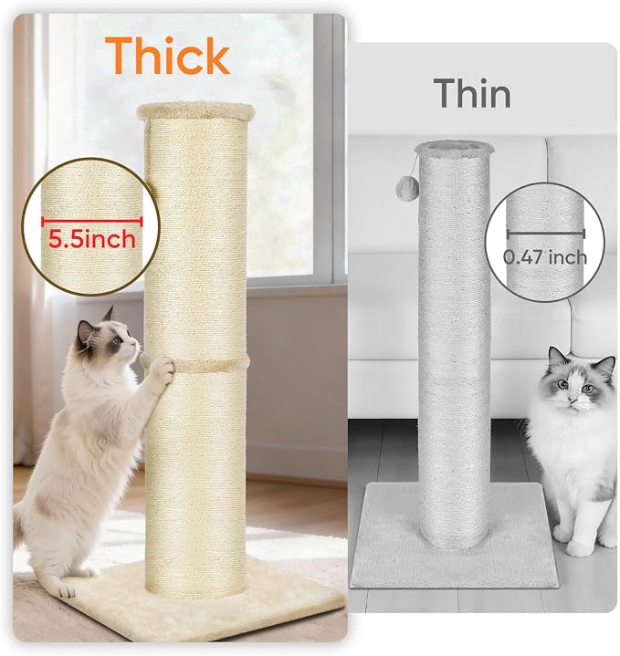 PAWSCRAT Cat Scratching Post 32 Inch High, 5.5 Inch Large Diameter Natural - Image 3