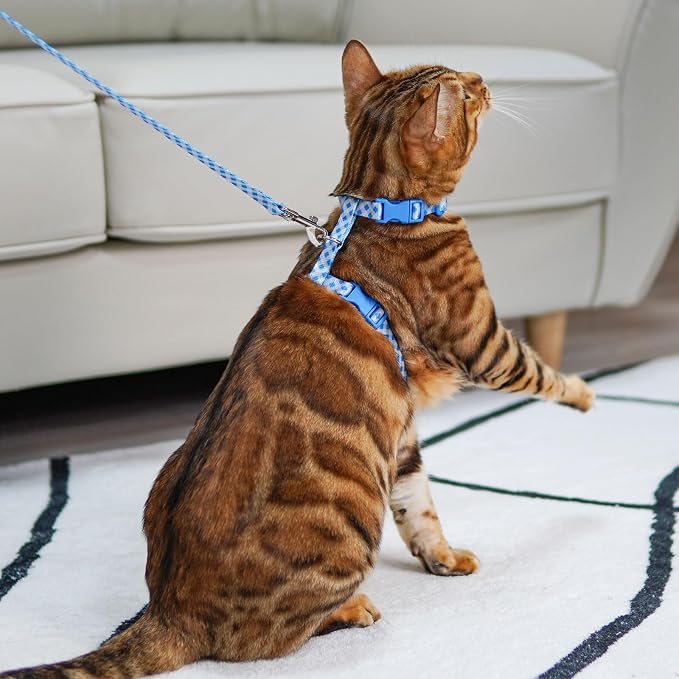 azuza Cat Harness and Leash Set - Image 9