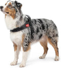 No Pull Dog Harness with Handle, Corgi Adjustable Reflective Dog Vest, by pangdi
