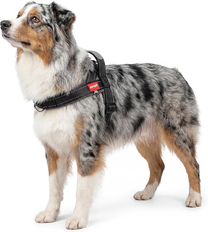 No Pull Dog Harness with Handle, Corgi Adjustable Reflective Dog Vest, by pangdi