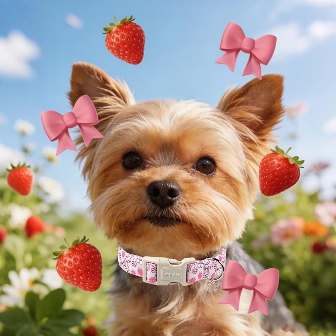 Lionet Paws Spring Dog Collar- Cute Strawberry Pink Dogs Collar - Image 4