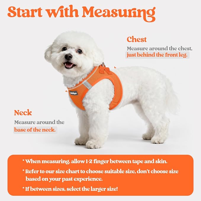 rabbitgoo Dog Harness Small Sized and Leash Set, Step in Soft Light Puppy Vest - Image 2