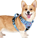 rabbitgoo Dog Harness Small Sized, No Pull Pet Harness by rabbitgoo
