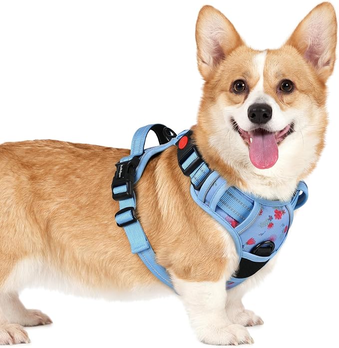 rabbitgoo Dog Harness Small Sized, No Pull Pet Harness by rabbitgoo