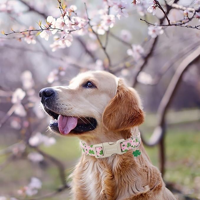 Lionet Paws St. Patrick Dog Collar- Cute Clover Pink Dog Collars - Image 5