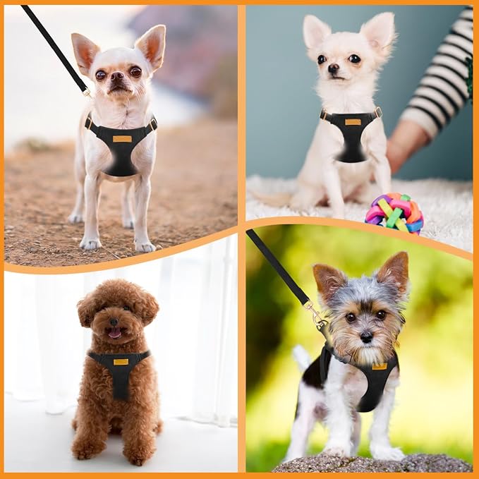 SlowTon Dog Harness Small Sized Dog - Image 7