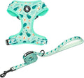 Dog Cat Harness and Leash Set, Puppia Soft Mesh Padded and Adjustable Puppy by COOWONE