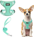 PUPTECK Small Dog Harness and Leash Set, No Pull Adjustable Puppy Cat Harness by PUPTECK