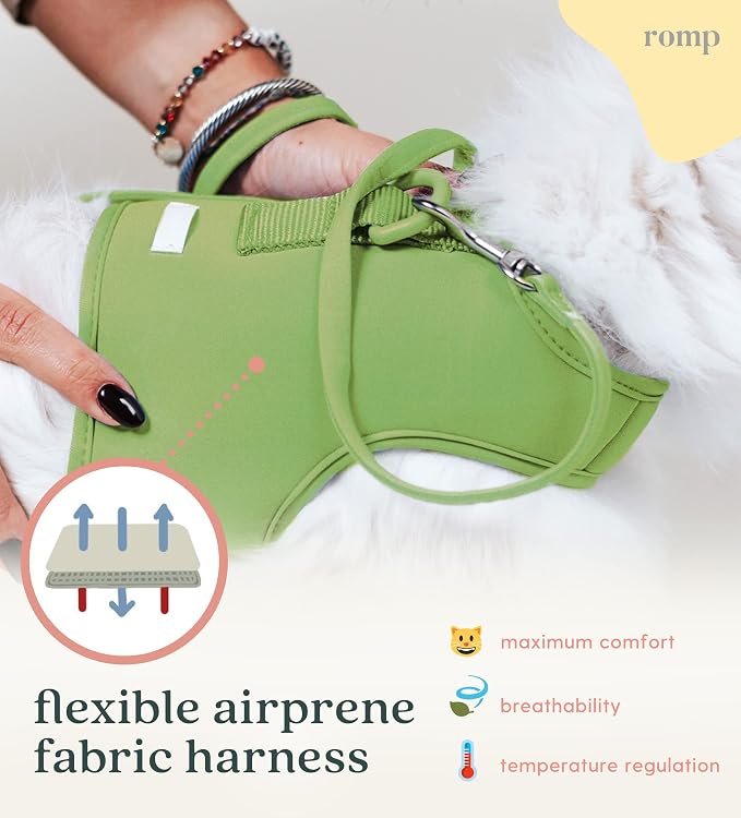 Cat Harness, Collar & Leash Set - Image 4