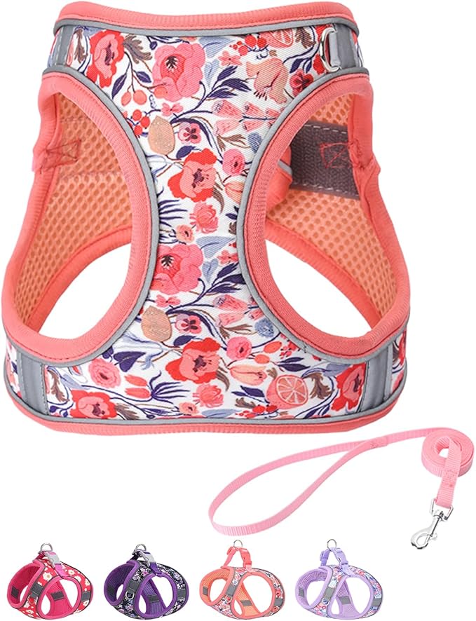 Step in Dog Harness and Leash Set, Flower Adjustable Easy Walk Puppy Harnesses by Flymind