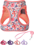 Step in Dog Harness and Leash Set, Flower Adjustable Easy Walk Puppy Harnesses by Flymind