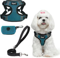PUPTECK Dog Harness and Leash Set Small Sized, Step in No Pull Adjustable Puppy by PUPTECK
