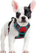rabbitgoo Dog Harness No Pull by rabbitgoo
