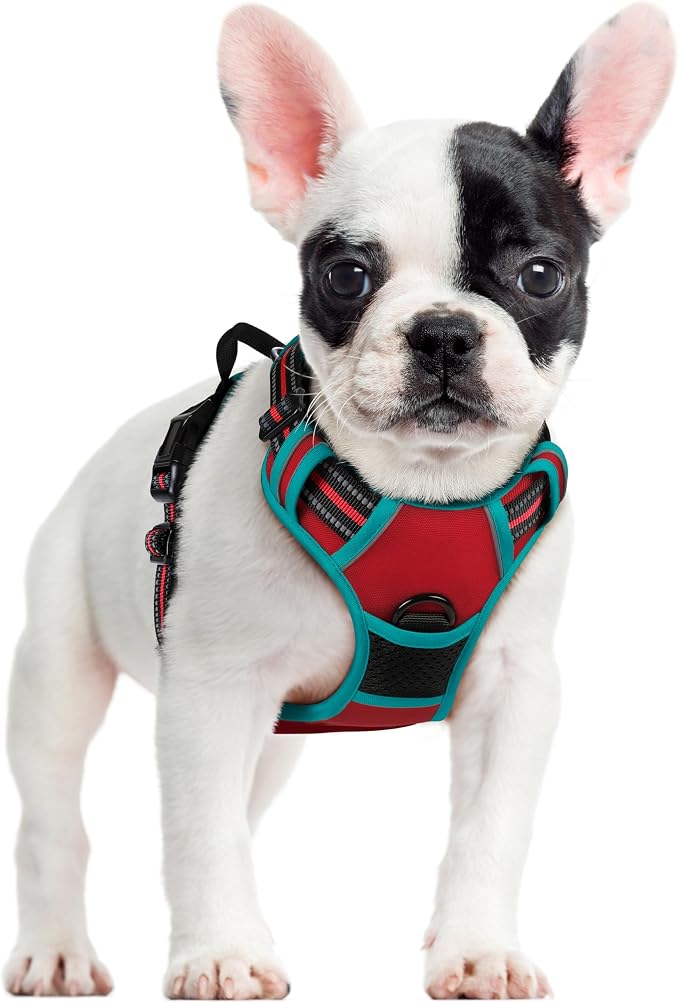 rabbitgoo Dog Harness No Pull by rabbitgoo