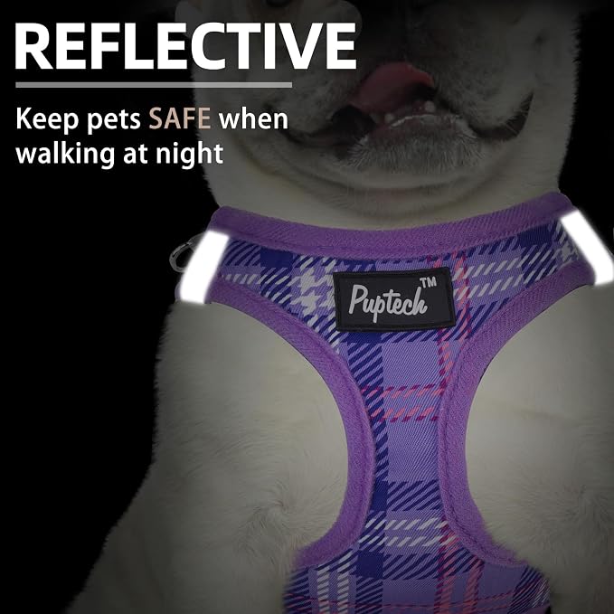 PUPTECK Dog Harness and Leash Set - Image 4