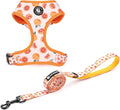 Dog Cat Harness and Leash Set, Puppia Soft Mesh Padded and Adjustable Puppy by COOWONE