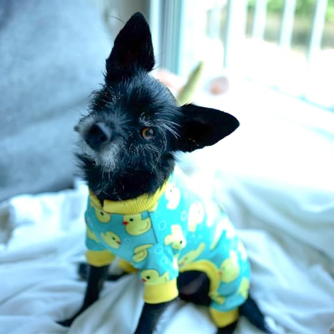 KYEESE Dog Pajamas Velvet Dog Pajamas Small Sized Dogs Dogs Pjs - Image 9