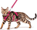 PUPTECK Cat Harness and Leash Set Escape Proof by PUPTECK