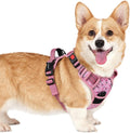 rabbitgoo Dog Harness Small Sized, No Pull Pet Harness by rabbitgoo