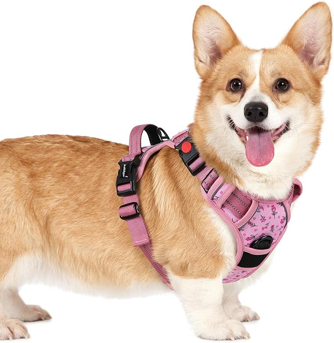 rabbitgoo Dog Harness Small Sized, No Pull Pet Harness by rabbitgoo