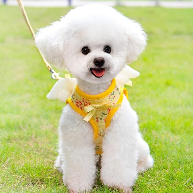 Dog Harness and Leash Set with Angle Wings, Pet Adjustable Mesh Vest Harness - Image 2