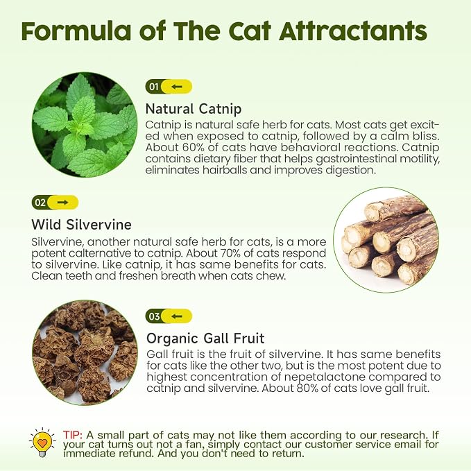 Potaroma Catnip Toys, Kitten Cleaning Teeth Molar Matatabi Cat Chew Toy All - Image 5