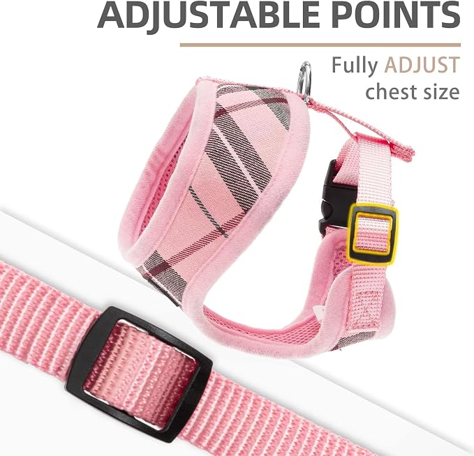 PUPTECK Soft Mesh Dog Harness and Leash Set Pet Puppy Cat Comfort Padded Vest - Image 3