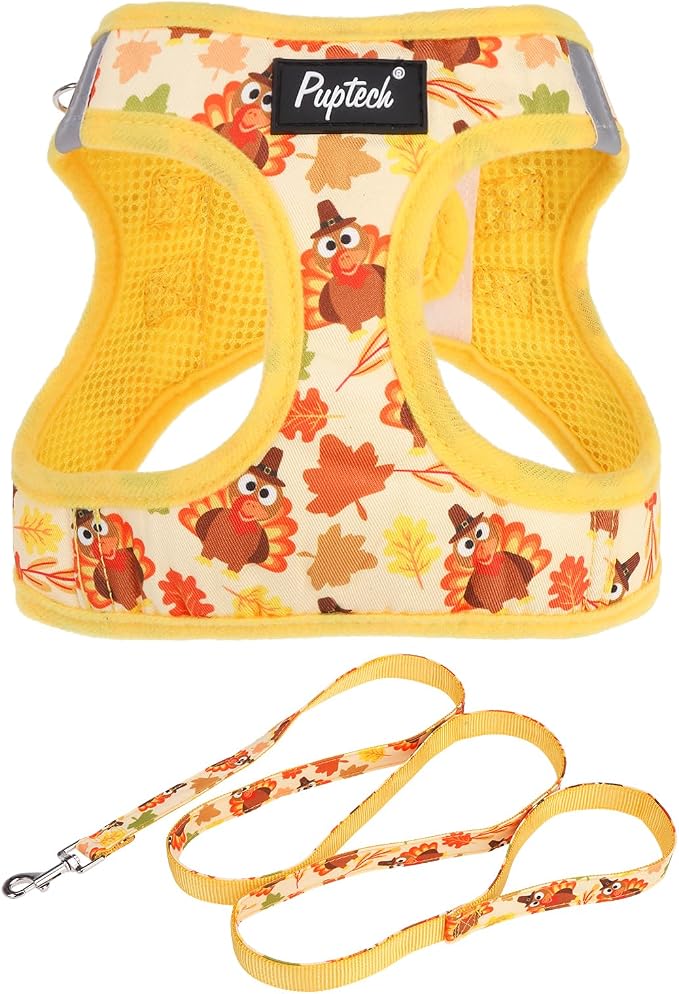PUPTECK Dog Harness and Leash Set by PUPTECK