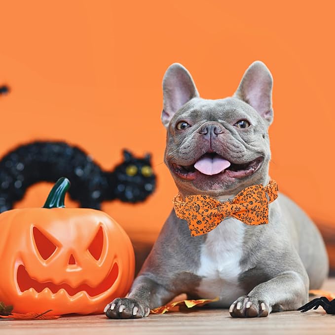 Halloween Dog Collar, Pet Collar Dog Bow Pumpkin Dogs Collar Girl Boy Holiday - Image 5