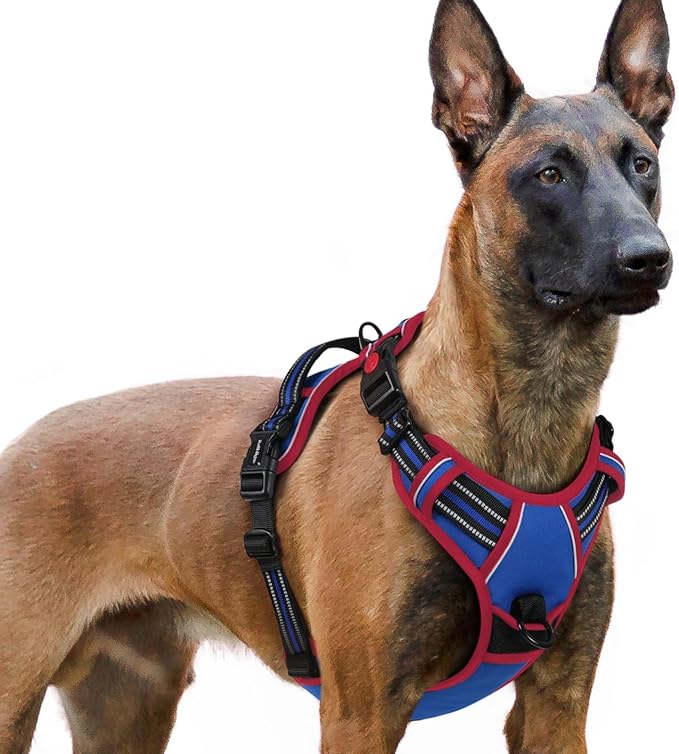 rabbitgoo Dog Harness for Large, No Pull Pet Harness by rabbitgoo