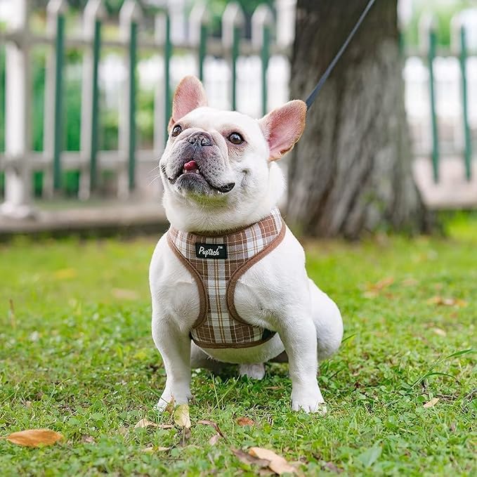 PUPTECK Soft Mesh Dog Harness and Leash Set Pet Puppy Cat Comfort Padded Vest - Image 6