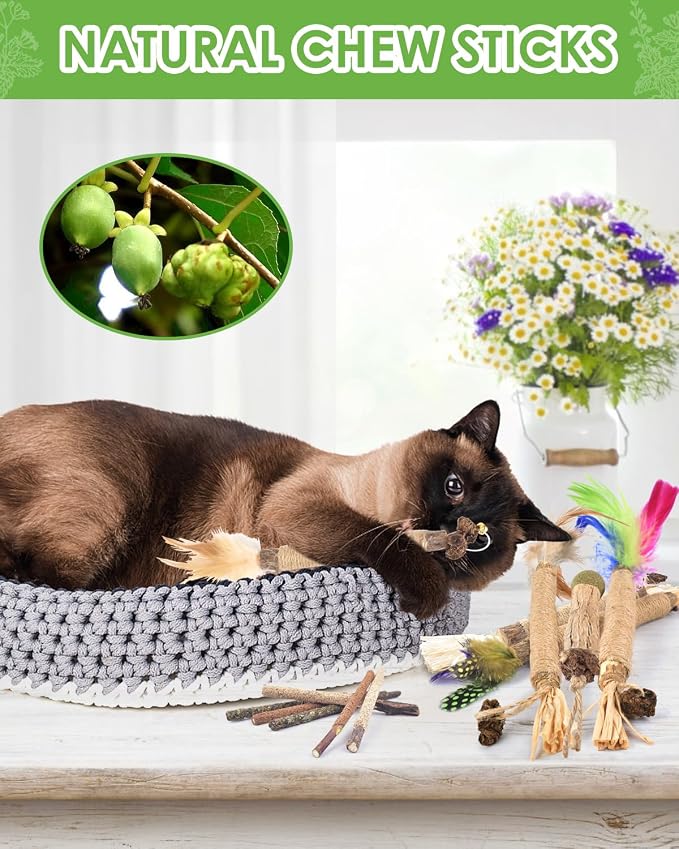 TINDTOP Silvervine Chew Sticks for Cats, 12 Pack Natural Catnip Chew Toys for - Image 6