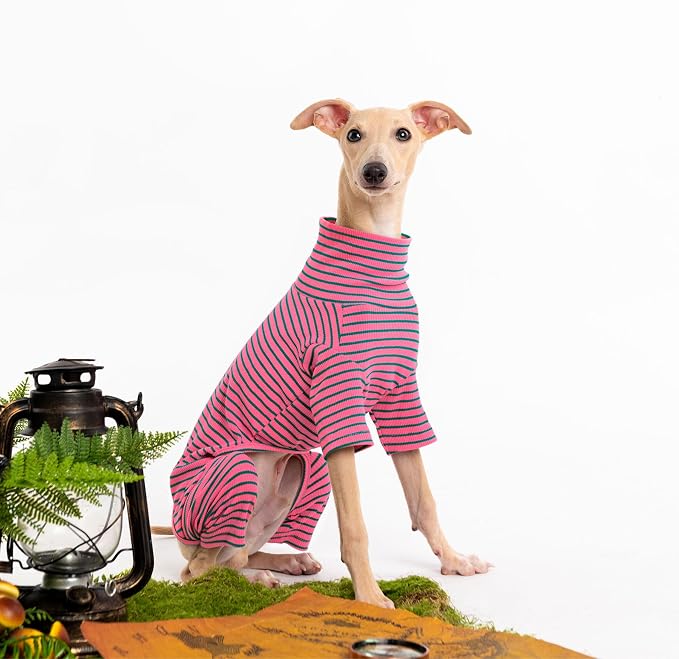 Dog Sweaters for Small Dogs Girls Boys, Striped Pet Sweaters for Fall Winter - Image 3
