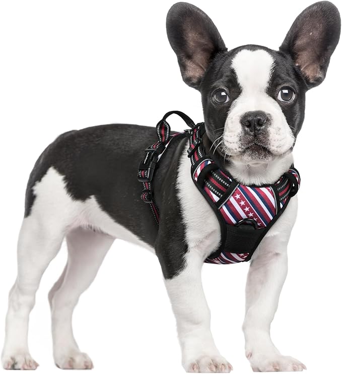 rabbitgoo Dog Harness No Pull by rabbitgoo