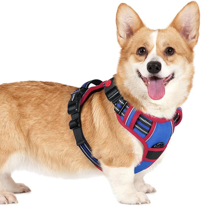 rabbitgoo Dog Harness Small Sized, No Pull Pet Harness by rabbitgoo