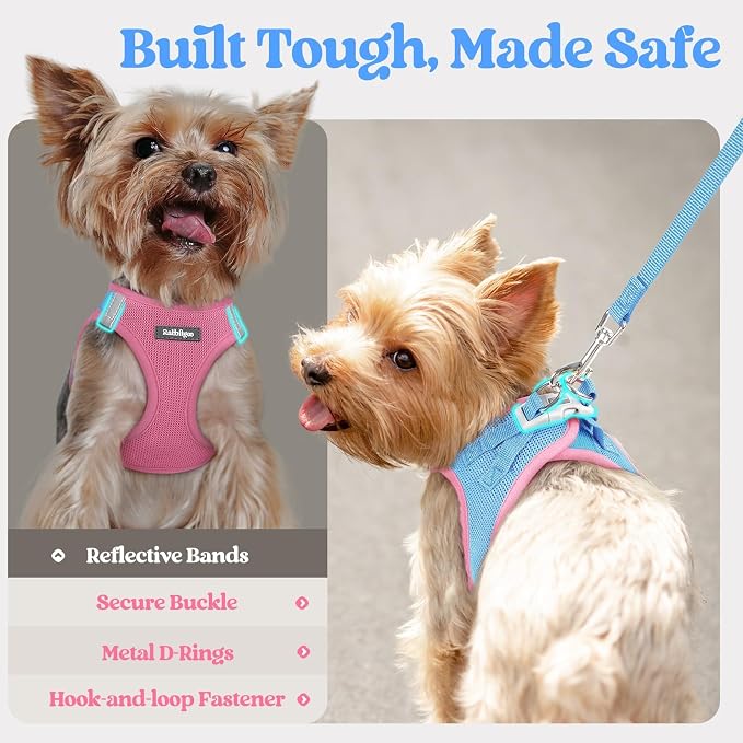 rabbitgoo Dog Harness Medium Sized and Leash Set, Step in Soft Light Puppy Vest - Image 7