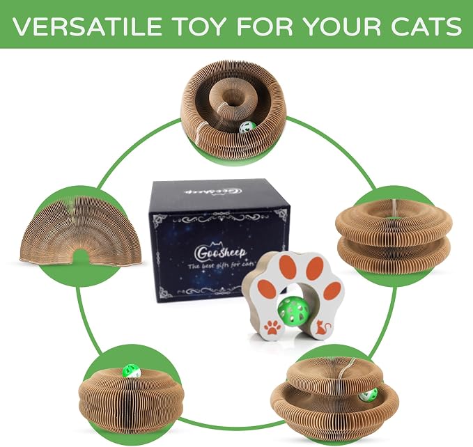 Accordion Magic Organ Cat Scratcher Toys - Image 8