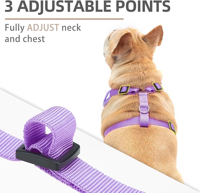 PUPTECK Small Dog Harness and Leash Set, No Pull Adjustable Puppy Cat Harness - Image 2